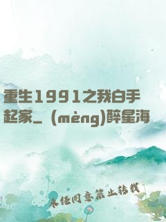 重生1991之我白手起家