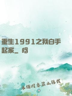 重生1991之我白手起家