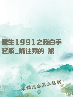 重生1991之我白手起家