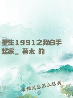 重生1991之我白手起家