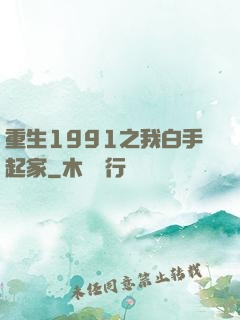 重生1991之我白手起家