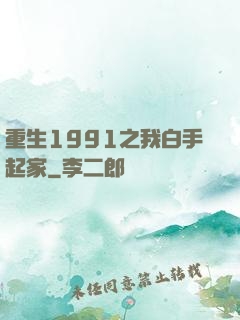 重生1991之我白手起家