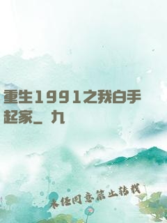 重生1991之我白手起家