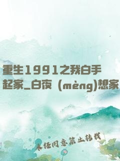 重生1991之我白手起家