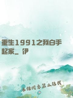 重生1991之我白手起家