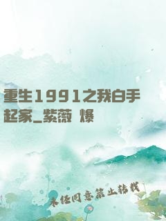重生1991之我白手起家
