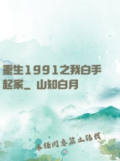 重生1991之我白手起家
