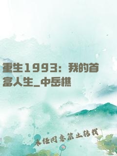重生1993：我的首富人生