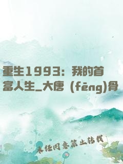 重生1993：我的首富人生