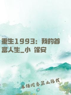 重生1993：我的首富人生