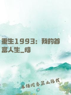 重生1993：我的首富人生