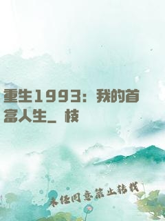重生1993：我的首富人生