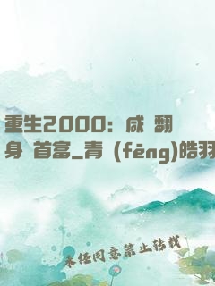 重生2000：咸魚翻身變首富