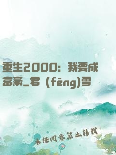 重生2000：我要成富豪
