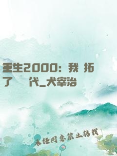 重生2000：我開拓了網絡時代