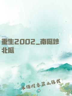 重生2002
