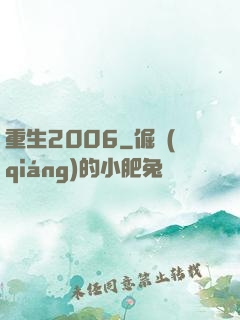 重生2006