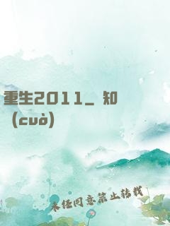重生2011