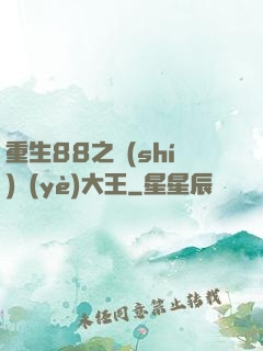 重生88之實(shí)業(yè)大王