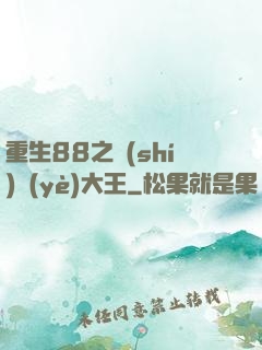 重生88之實(shí)業(yè)大王