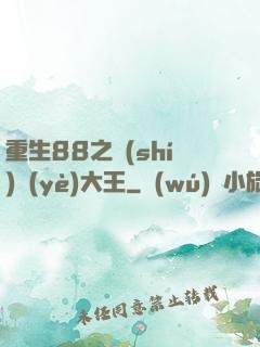 重生88之實(shí)業(yè)大王