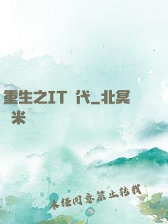 重生之IT時代