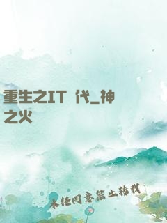 重生之IT時代