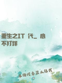 重生之IT時代