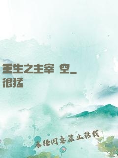 重生之主宰時空