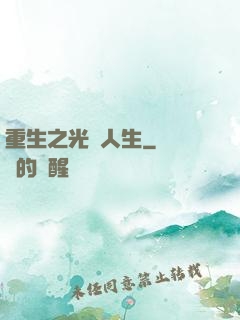 重生之光輝人生