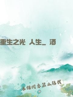 重生之光輝人生