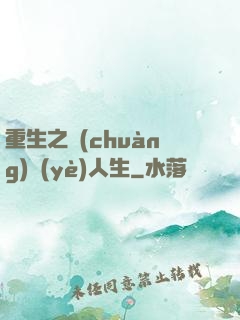 重生之創(chuàng)業(yè)人生