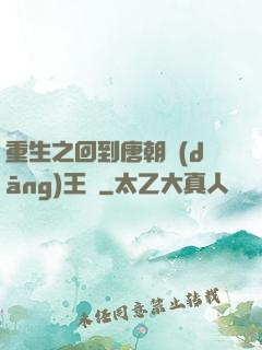 重生之回到唐朝當(dāng)王爺