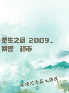 重生之回檔2009