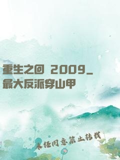 重生之回檔2009