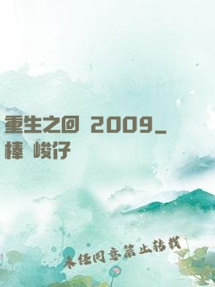重生之回檔2009