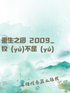 重生之回檔2009