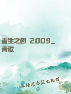 重生之回檔2009