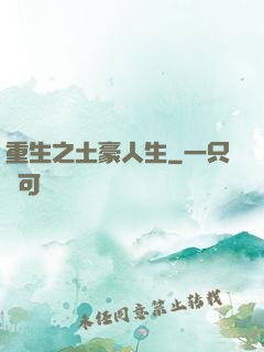 重生之土豪人生