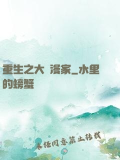 重生之大動漫家