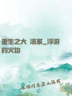 重生之大動漫家