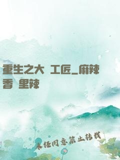 重生之大國工匠