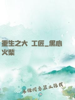 重生之大國工匠
