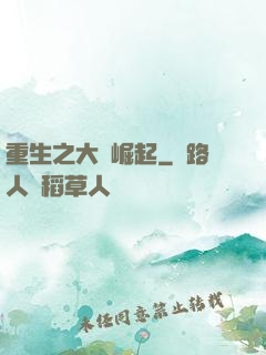 重生之大廠崛起