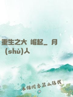 重生之大廠崛起