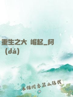 重生之大廠崛起