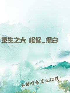 重生之大廠崛起