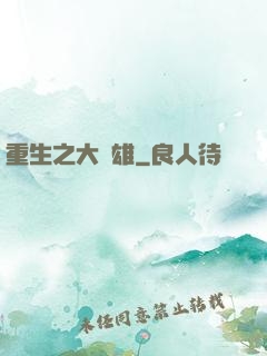 重生之大梟雄