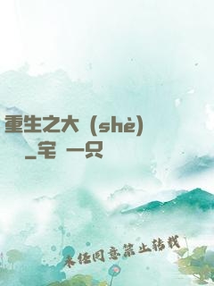 重生之大設(shè)計師