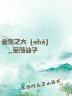 重生之大設(shè)計師
